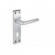 Contract Lever Door Handle On Lock Backplate S.A.A.