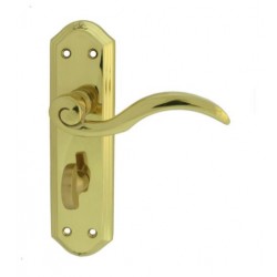 Carlisle Brass Wentworth Lever On WC Backplate Polished Brass