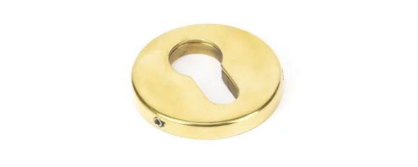 From The Anvil Aged Brass 52mm Regency Concealed Escutcheon